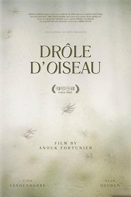 奇怪的鸟 Drôle d&#039;Oiseau