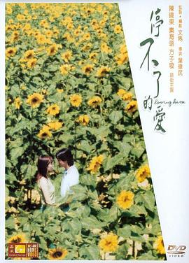 停不了的节奏
