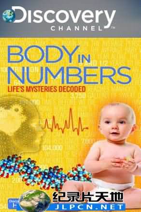 人体密码 Body in Numbers