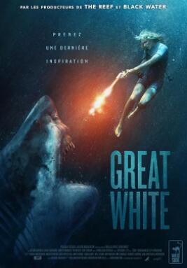 白色巨鯊