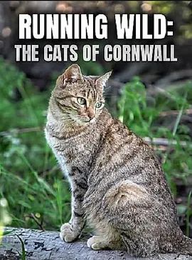 Running Wild: The Ca of Cornwall 2020