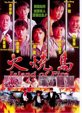 火烧岛[1991]