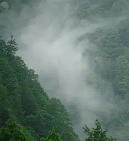 日本印象派水光和鸣