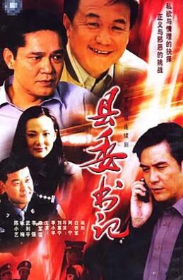 县委书记2006