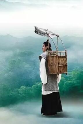 医圣张仲景