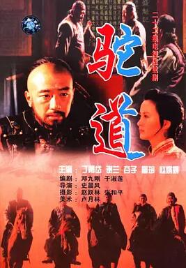 风驼万里