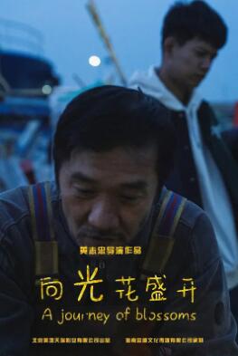 向光花盛开